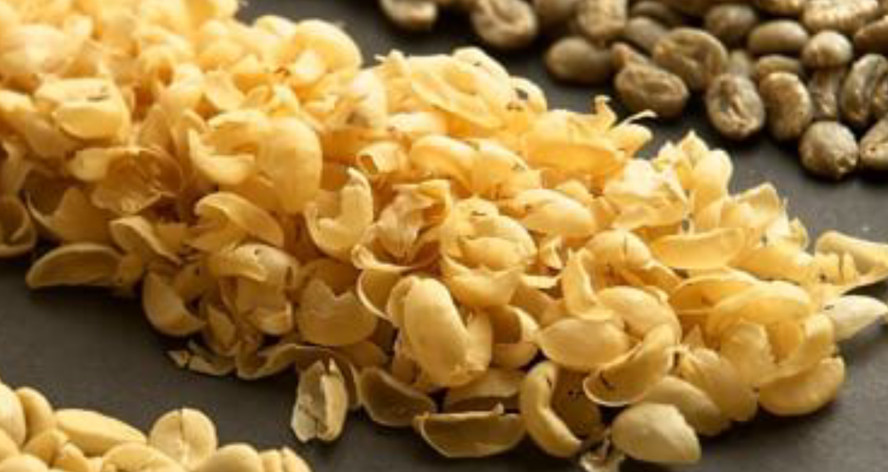 5 yıl boyunca yaşlandırmıyor: Günde 4 fincan içmeniz yeterli