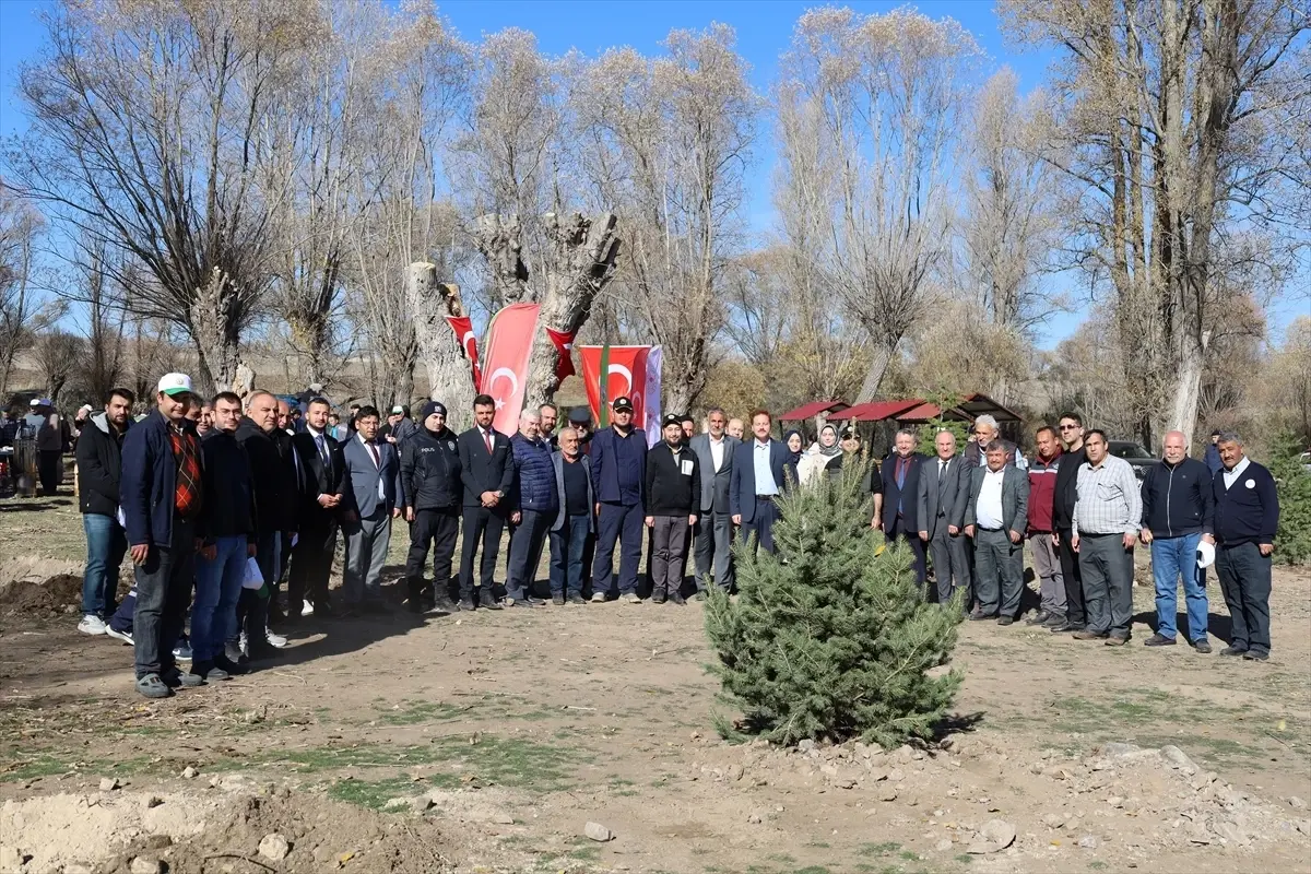 Dodurga’da Fidan Dikim Etkinliği