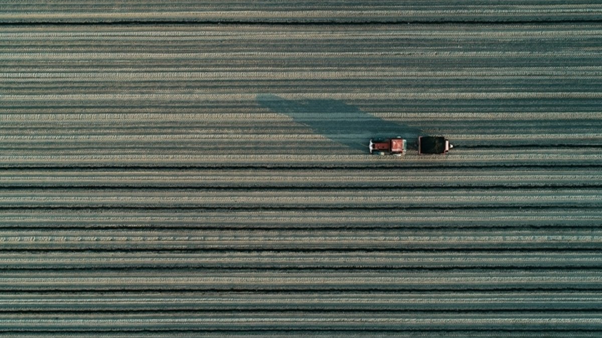 Organize tarım bölgelerindeki projelere 6 milyar liralık kredi ve hibe desteği