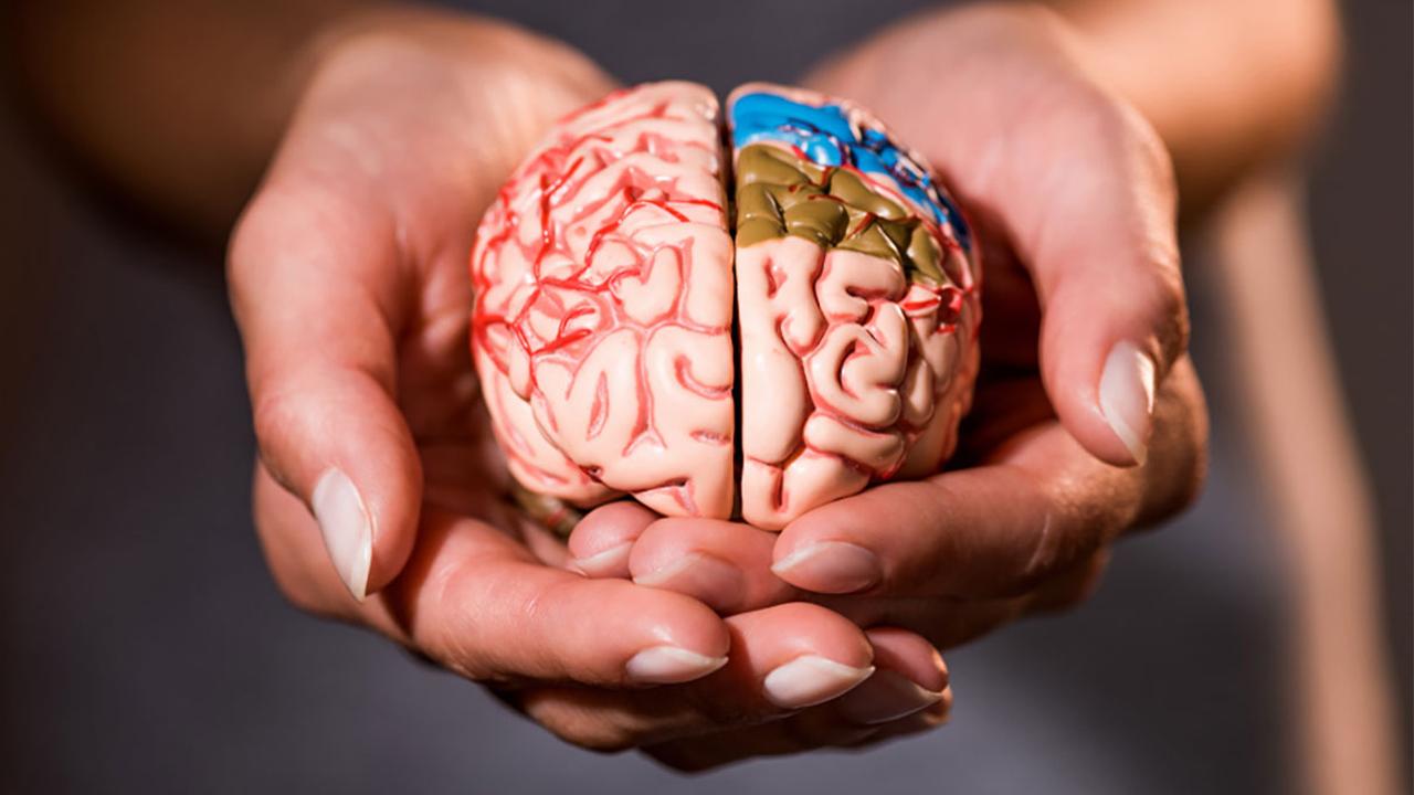 Beyninizi 8 sene birden gençleştiriyor! Şartlara sahip olan yaşadı