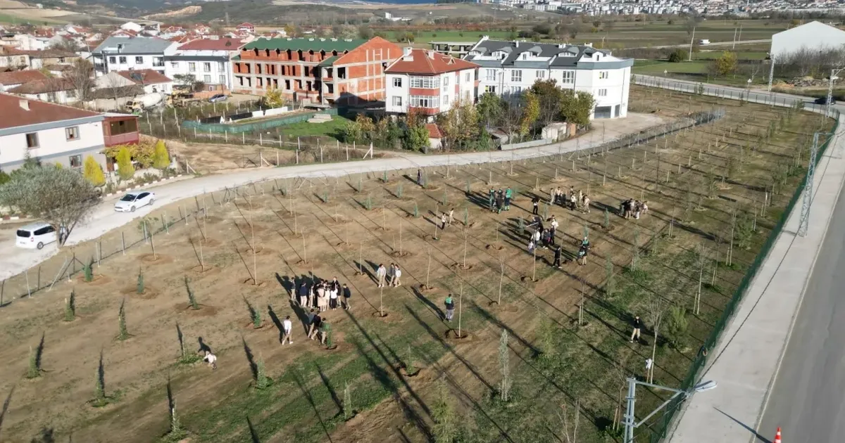 Bursa İnegöl’de 572 fidanlı koruluk Akhisar’a nefes oldu