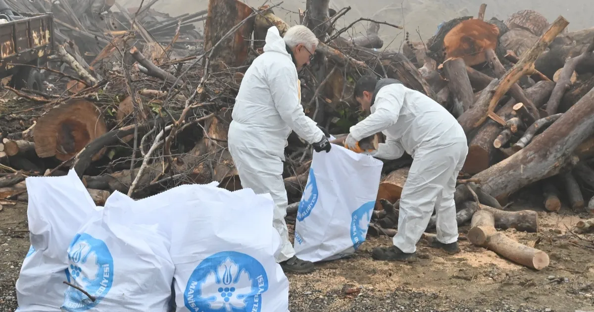 Manisa’da ihtiyaç sahiplerine odun desteği