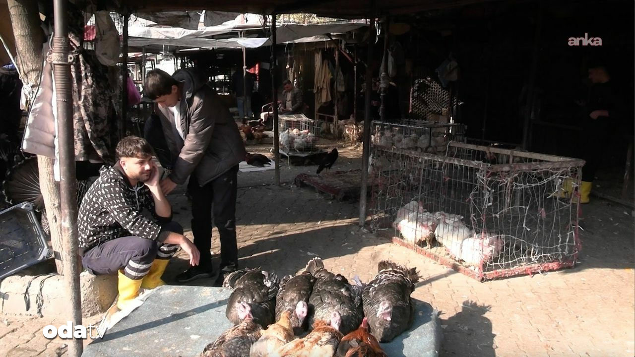 Yılbaşı öncesi Hindi satıcıları dert yandı