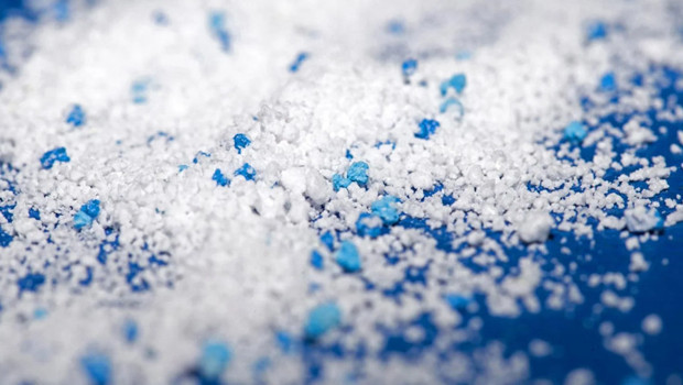 Antarktika’daki böcekten bile mikroplastik çıktı