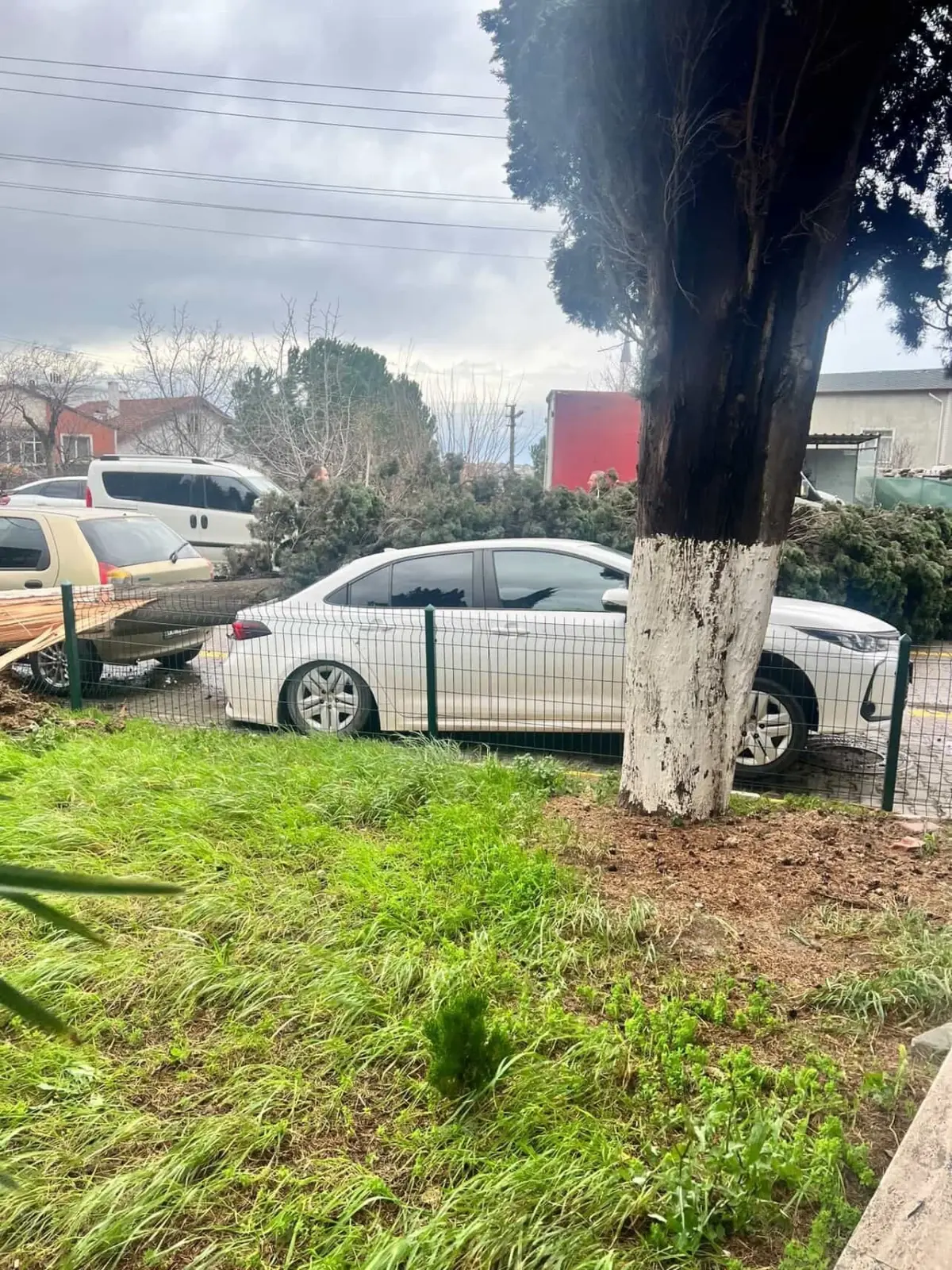 Yalova’da Fırtına Hayatı Felç Etti